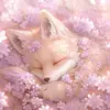 Joann Cloud - @joann.cloud - TikTok