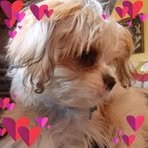 JoAnn Conrad - Facebook