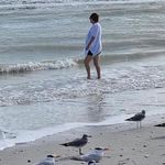 Joann Conway Murello - @joann.murello - Instagram