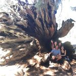 Cote Joannon - @cotejoannon - Instagram
