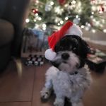 Joanne Cote-Robidas - @avenco - Instagram