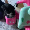 joannhogancottle - @joannhogancottle - TikTok