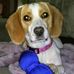 JoAnn Covington - Facebook