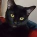 Joann Crowe - Facebook