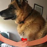 Joanne Farrall Crowe - @mummajo62 - Instagram