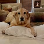 Joan Culpepper - @jculpepp - Instagram