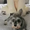 joanna cummins - @joannacummins1 - TikTok