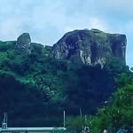 Joann Curley - @joann_curley - Instagram