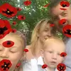Joanne Curley - @joannecurley - TikTok