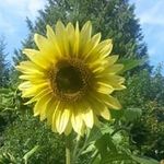 JoAnn  Darby - @darby.joann - Instagram