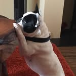 Joanne Darnell - @joannedarnell - Instagram