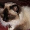 joannedenton492 - @joannedenton492 - TikTok