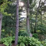 Joann Derr Fellwock - @joannderrfellwock - Instagram