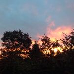 JoAnn DeVore - @jcdevore42 - Instagram
