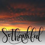 JoAnn DeWitt - @joanndewitt46 - Instagram