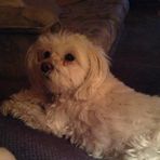 Joann Dewitt - Facebook