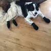 Joann Dolan - @joanndolan - TikTok