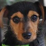 Joann Scott Dougherty - @dougherj72 - Instagram