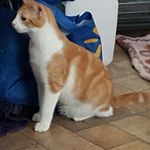 Jo-Ann Duncan - @duncanjoann121 - Instagram