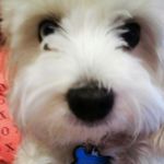 JoAnn Duncan - @joann.duncan.18 - Instagram