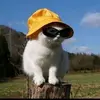 JoannDuncan - @jamaafdvhks - TikTok