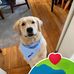 Joann Dupre - Facebook