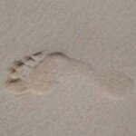 JoAnn Ebert - @joann_ebertyahoocom - Instagram
