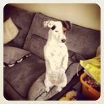 Joann Ebert - @bobourhuis - Instagram