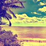 Joann Ebert - @borneyesho - Instagram