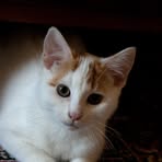Joann Eddy - Facebook