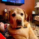 Jo Ann Egan - @vanfleetjoann - Instagram