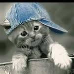 JoAnn Egan Halterman - @haltermanjoann - Instagram