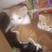 Joann Ellerbe - Facebook