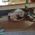 Joann Engler - @joannenglet - Instagram