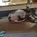 Joann Engler - Facebook