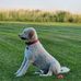Joanne Enger - Facebook