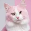Joan Enriquez - @joan.enriquez - TikTok