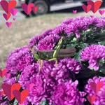 Joann Enriquez Gonzalez - @gonzalez.joann - Instagram