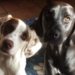 Joann Erickson - @joannerickson01 - Instagram