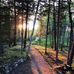 JoAnn Erickson - Facebook