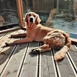 Joanne Erwin - @jojoer_44 - Instagram