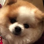 JoAnn Estrada Tamez - @joannzemat - Instagram