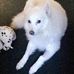 JoAnn Everett - Facebook