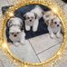 Joan Ewing - Facebook