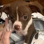 Joann Lawrence Fairchild - @nuthousemom5 - Instagram