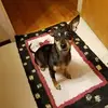 joannfarris1946 - @joannfarris1946 - TikTok