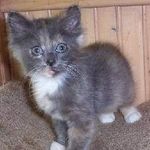 Joann Ferrell - @meezers09 - Instagram