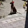 Joanne Ferrell - @joanne.ferrell7 - TikTok