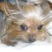 Joanne Ferrell - Facebook
