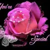 Jo Ann Fields - @jo.ann.fields - TikTok
